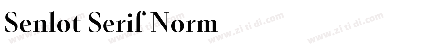 Senlot Serif Norm字体转换